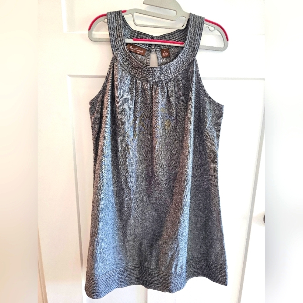 Speed Control NY Chambray Sleeveless Shift Dress – 1X, 100% Cotton